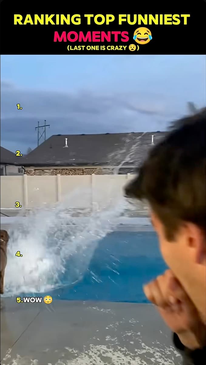 Top Funniest Moments